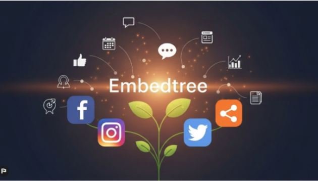 Social Media Stuff Embedtree The Smarter Way to Organize Your Digital Presence